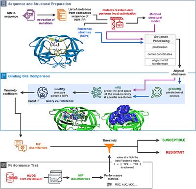 An Innovative Sequence-to-Structure-Based Approach to Drug Resistance Interpretation and Prediction: The Use of Molecular Interaction Fields to Detect HIV-1 Protease Binding-Site Dissimilarities